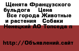 Щенята Французского бульдога. › Цена ­ 45 000 - Все города Животные и растения » Собаки   . Ненецкий АО,Топседа п.